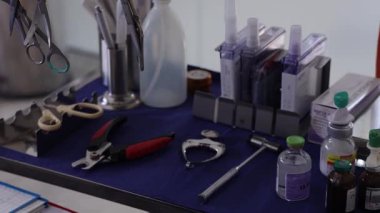 Sokak köpekleri Asya 'daki hayır kurumunda tedavi görüyorlar. Yüksek kalite 4k görüntü