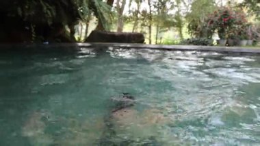 Çocuklu bir aile bambu salında yüzer. Yüksek kalite 4k görüntü