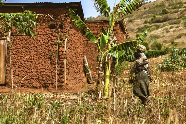 The woman walking to her house that is built by mud and earth near the banana field. — Stock Photo, Image