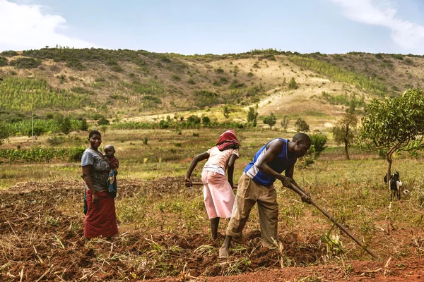 Africká žena, pracující na poli s dítětem a další pracovníky. — Stock fotografie