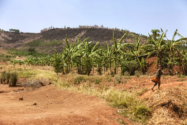 Bananenbomen, sky en het kleine meisje lopen. — Stockfoto