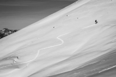 Felderkopf snowshoeing