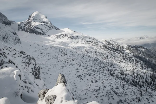 Vista sobre Alpspitz — Foto de Stock