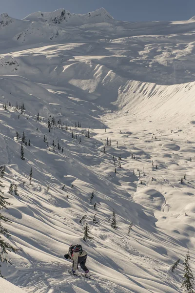 Esquí de travesía en rogers pass — Foto de Stock