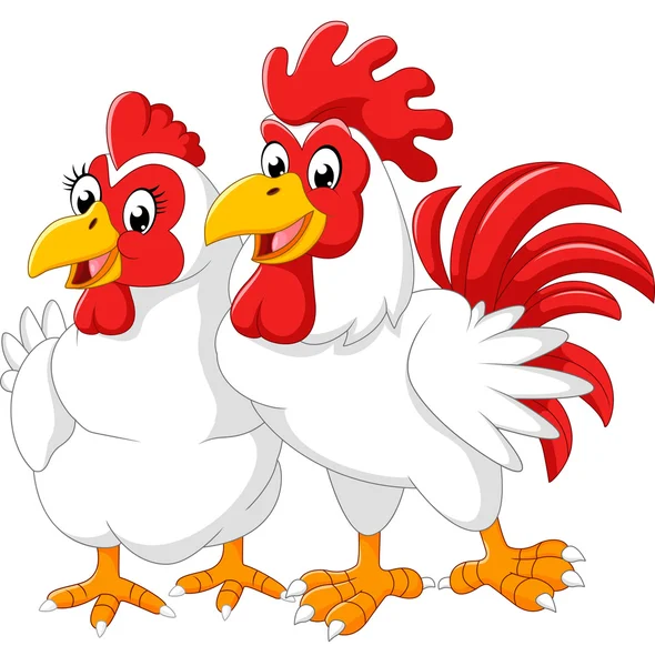 Tavuk ve horoz çizimi — Stok Vektör