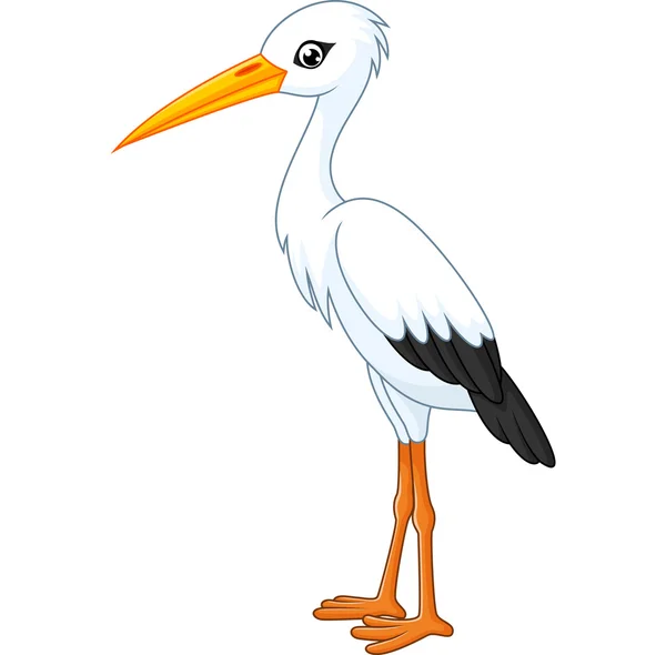 Cigogne blanche dessin animé — Image vectorielle