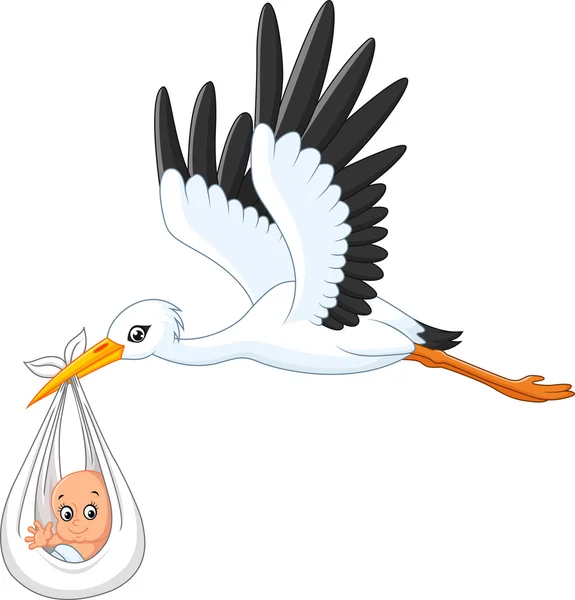 Cartoon stork carrying baby — Stock Vector