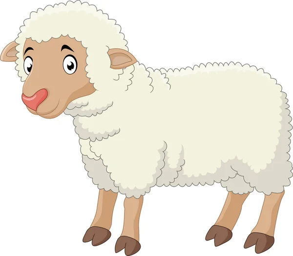 Schattige schapen cartoon — Stockvector