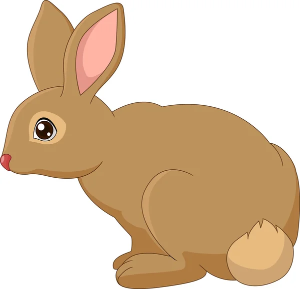 Bonito coelho desenhos animados — Vetor de Stock