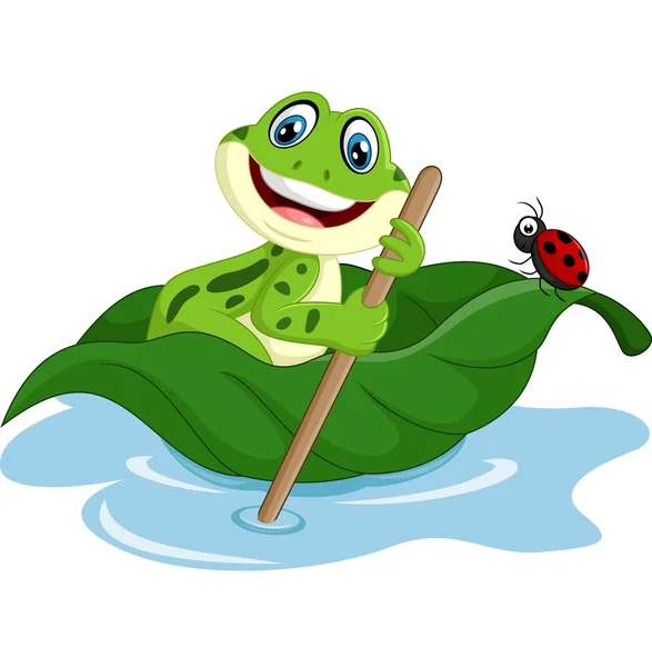 Cartoon frog paddle leave — Stock Vector