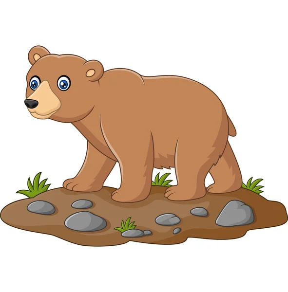 Söt baby björn tecknad — Stock vektor