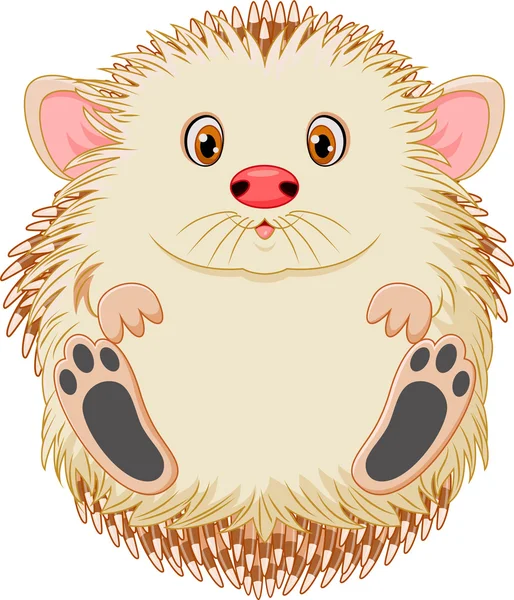 Cute baby hedgehog — Stock Vector