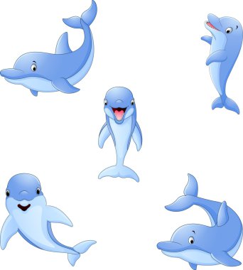 Yunus koleksiyonu ayarla