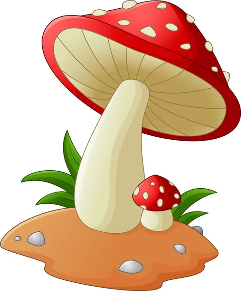 Dessin animé champignon sur fond blanc — Image vectorielle