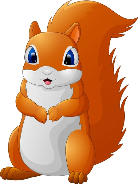 Cartoon adorable squirrel — Stock Vector