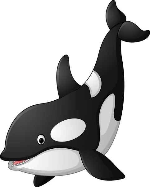 Χαριτωμένο φάλαινα δολοφόνος κινουμένων σχεδίων — Διανυσματικό Αρχείο