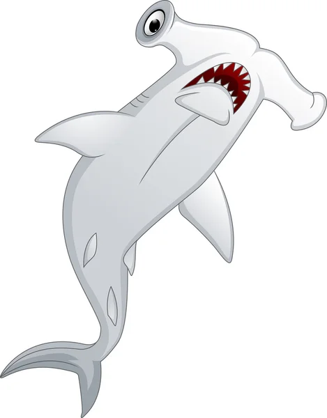 ปลาฉลามหัวค้อน — ภาพเวกเตอร์สต็อก