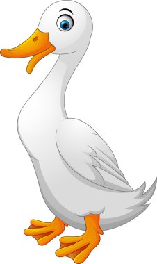Illustration of cartoon white duck clipart