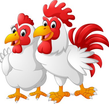 Tavuk ve horoz çizimi