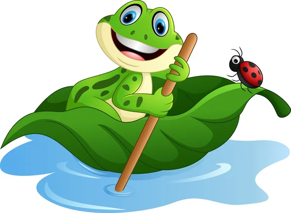 Cartoon frog paddle leave — Stock Vector