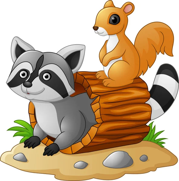 Cartoon raccoon and squirel — Stock Vector