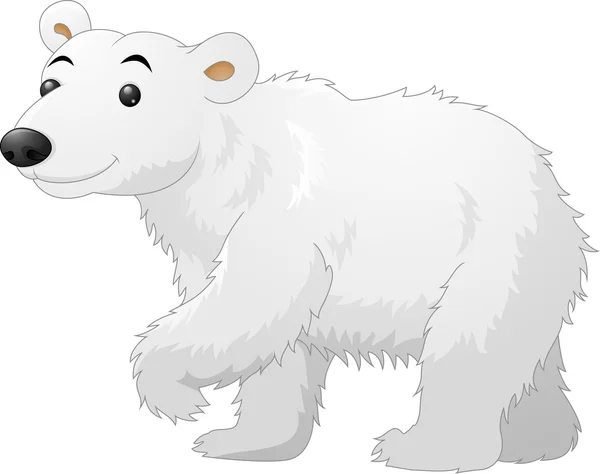 White Polar Bear cartoon — Stock Vector