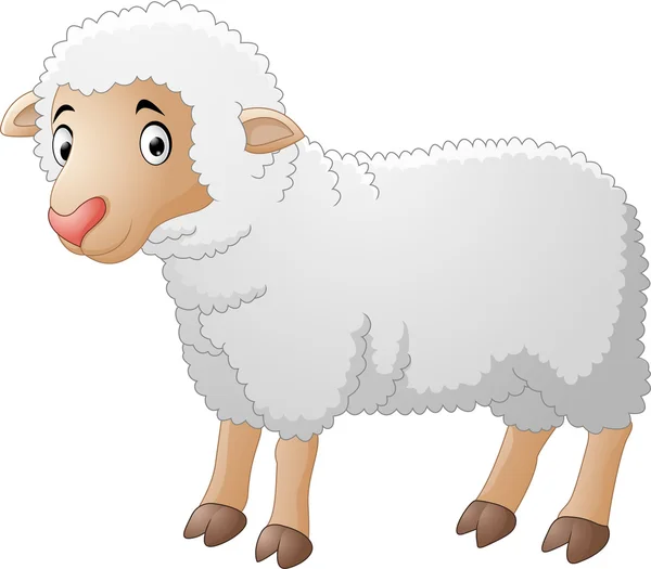 Mignon dessin animé moutons — Image vectorielle