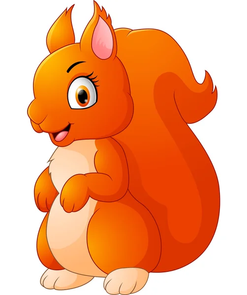 Cartoon adorable squirrel — Stock Vector
