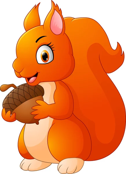 Cartoon funny squirrel holding pinecone — Stock Vector