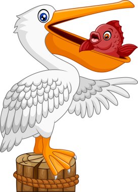 Ağzında balıkla karikatür komik Pelican Bay