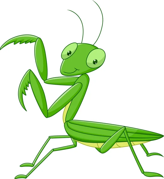 Lindo dibujo animado mantis — Vector de stock