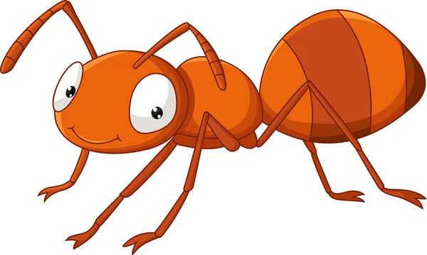 Cute ant cartoon — Stock Vector