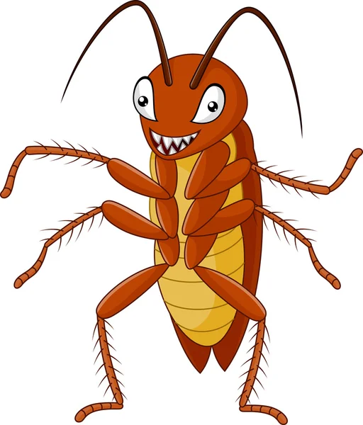 Linda cucaracha aislada sobre fondo blanco — Vector de stock