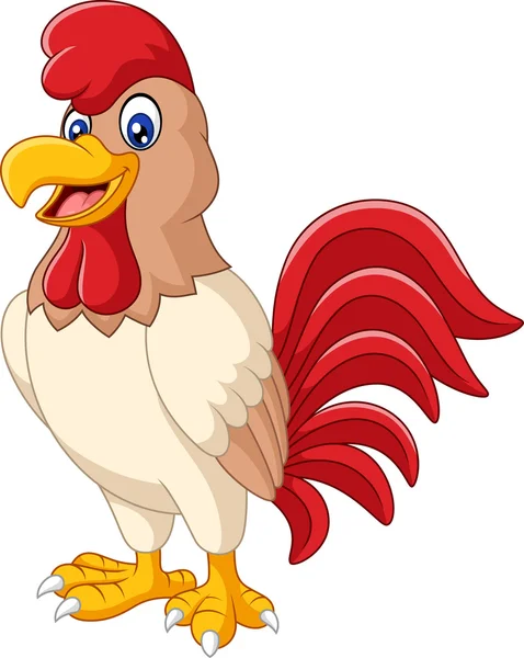 Cartoon rooster isolated on white background — Stock Vector