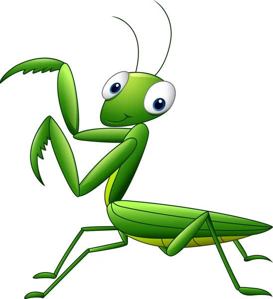 อธิษฐาน mantis grasshopper การ์ตูน — ภาพเวกเตอร์สต็อก