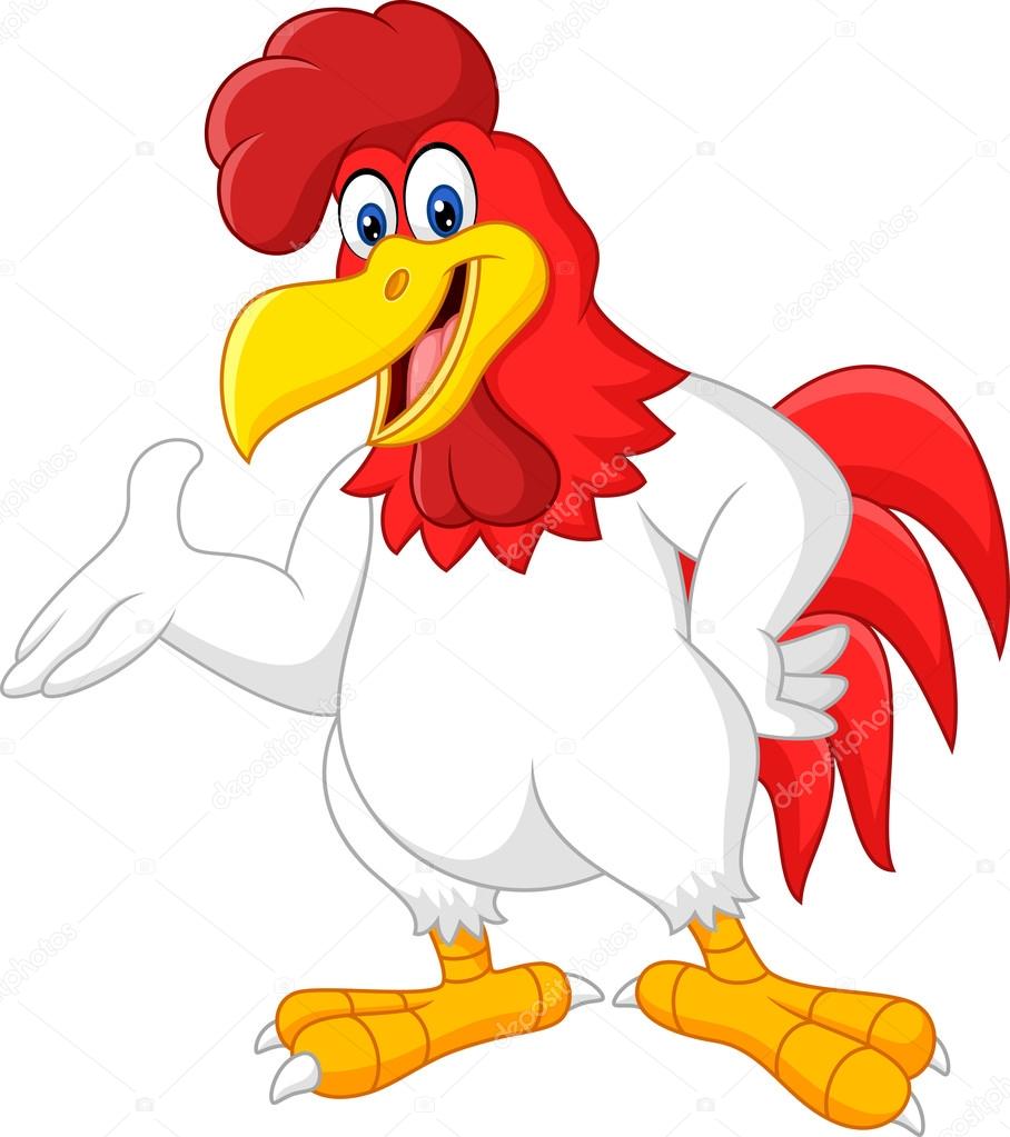 Cartoon rooster presenting isolated on white background