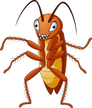 Beyaz arka planda izole edilmiş şirin hamamböceği