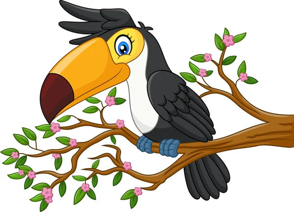 Kreslený Legrační Tukan na větev stromu — Stockový vektor