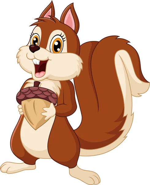 Cute squirrel cartoon holding nut — Stock Vector