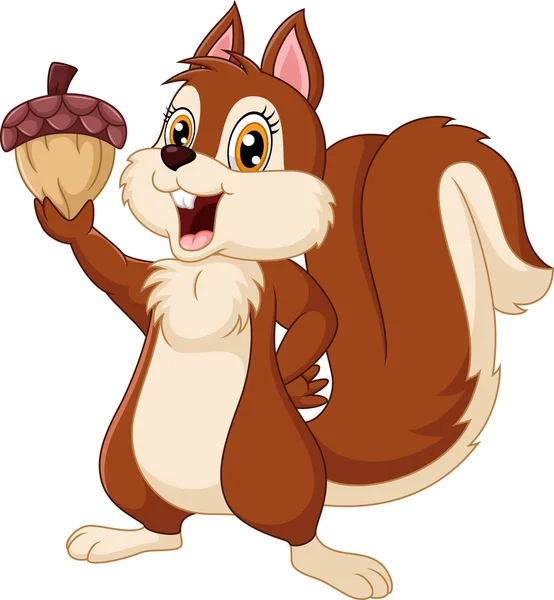 Cute squirrel cartoon holding acorn — Stock Vector