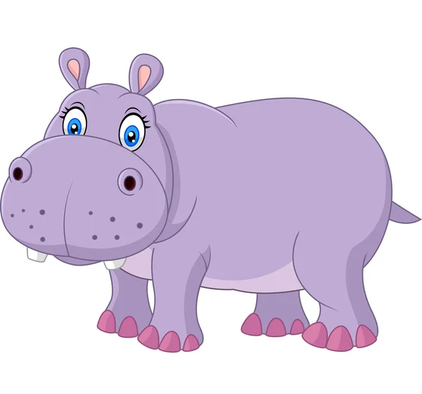 Cute hippo isolated on white background — Stock Vector