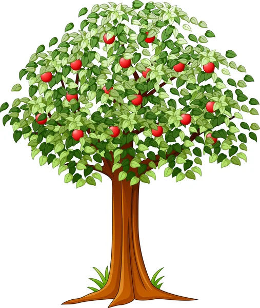 Green Apple boom vol rode appels geïsoleerd — Stockvector