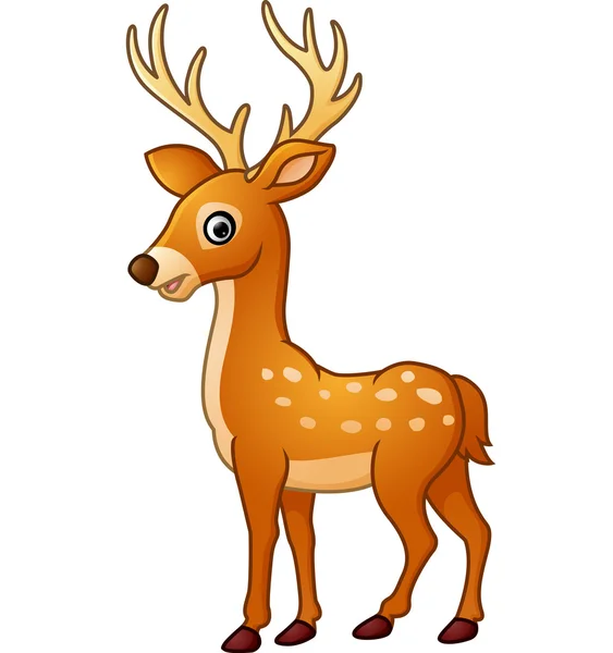 Cute deer cartoon — Stock Vector