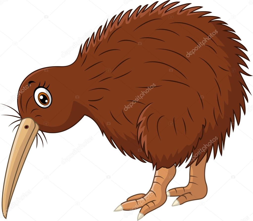 Cute kiwi bird cartoon