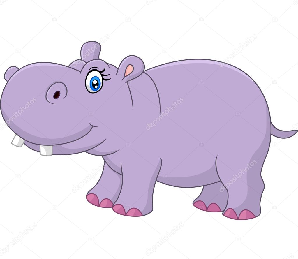 Cute hippo isolated on white background