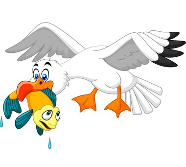 Soğuk su balıkları karikatür martı