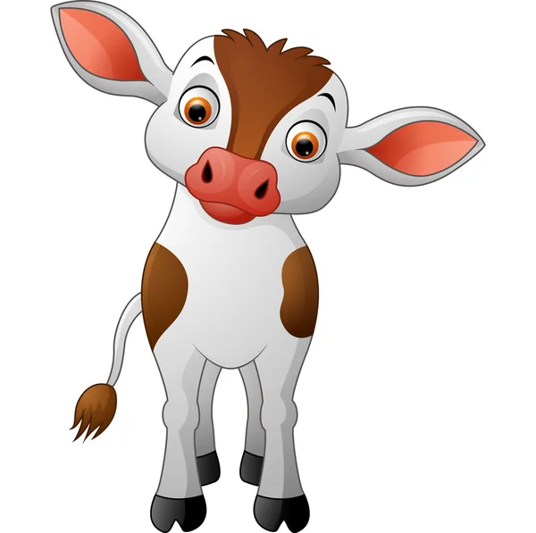 Cute baby cow isolated on white background — Stock Vector