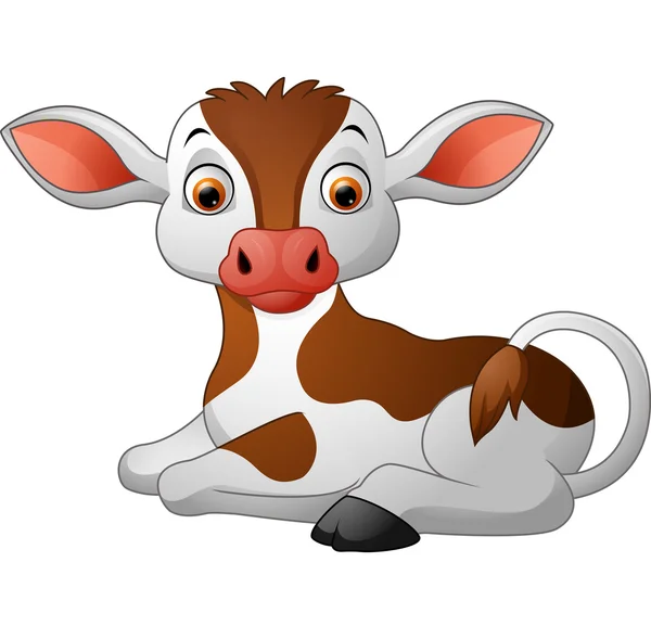 Cute baby cow sitting — Stock Vector