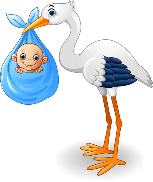 Cigüeña de dibujos animados llevando bebé — Vector de stock