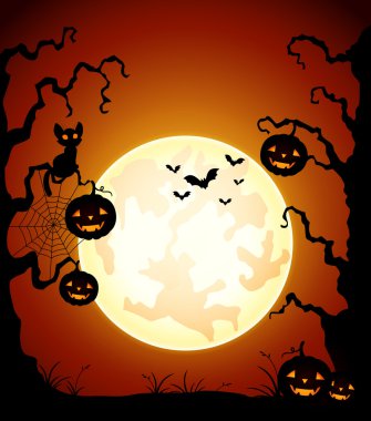 Halloween geceler arka plan ile kabak ve siyah kedi